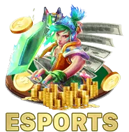 Chương Trình VIP & Điểm Thưởng